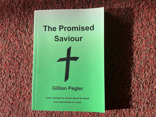 The Promised Saviour