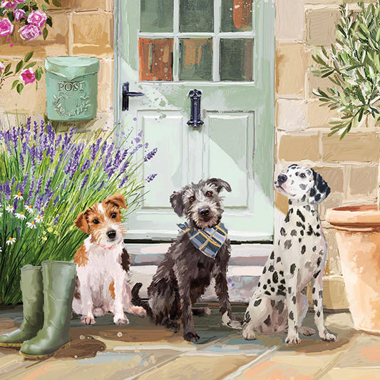 Time For A Walk - Birthday Card