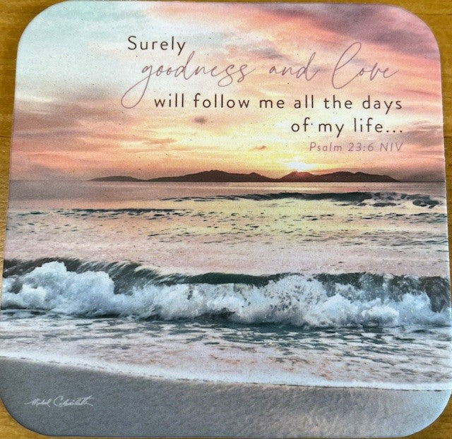 Surely Goodness Coaster