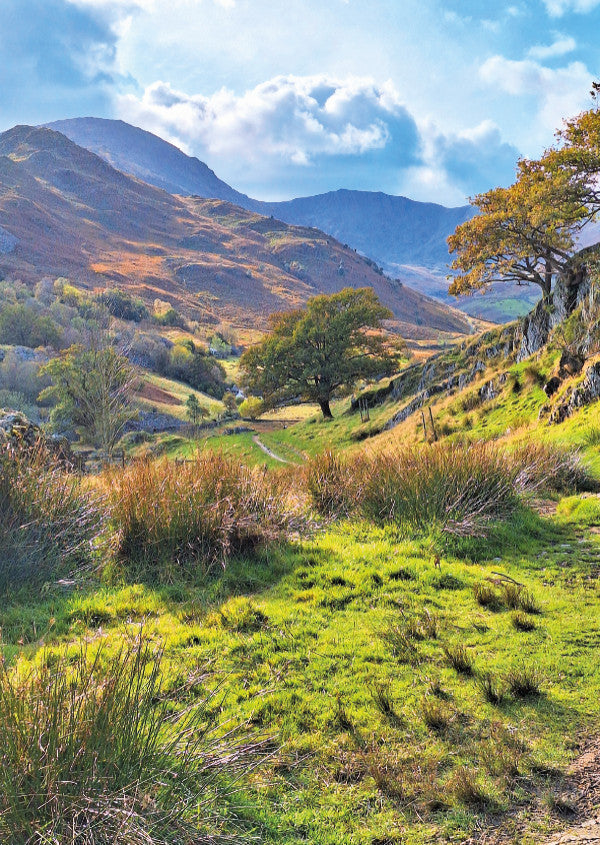 Lakeland Path Card