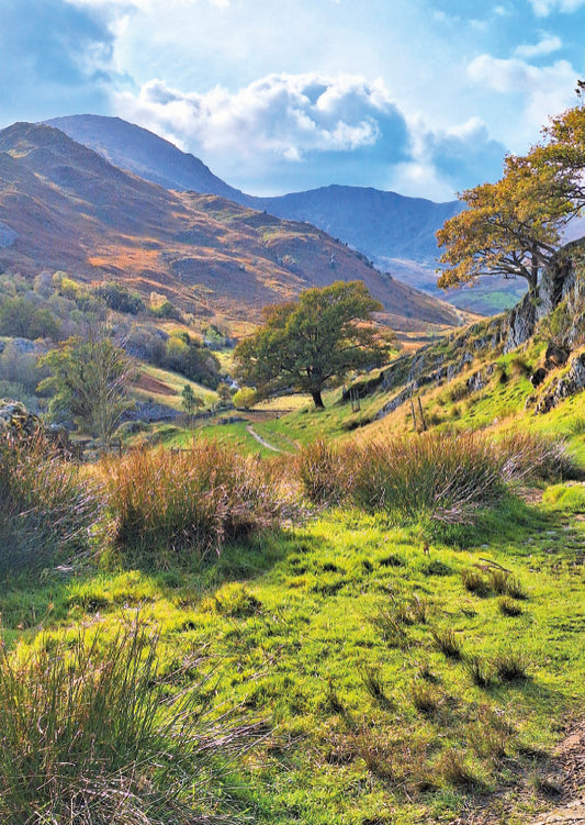 Lakeland Path Card