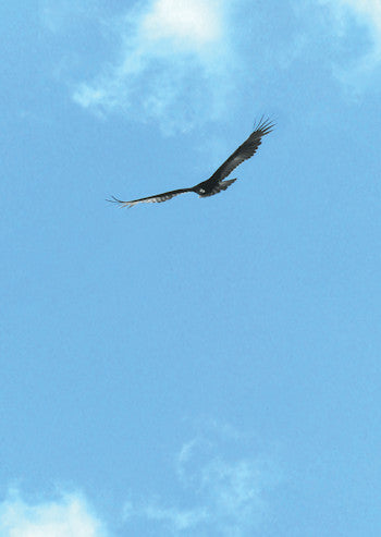 Eagle Card