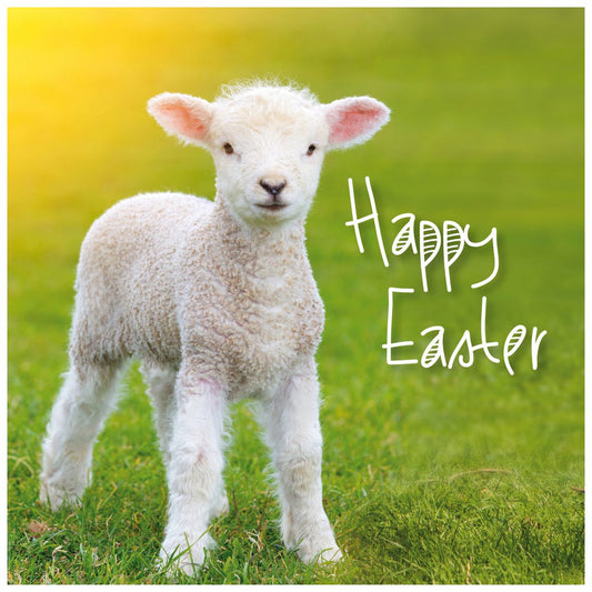 Happy Easter - Pack of 5 Easter Cards