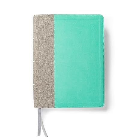 CSB Lifeway Women’s Bible - Mint/Grey