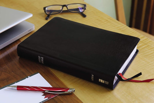 NIV Thinline Bible Giant Print