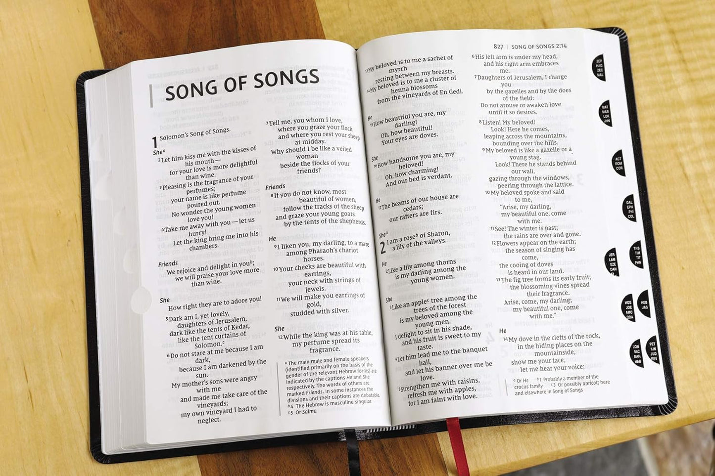 NIV Thinline Bible Giant Print