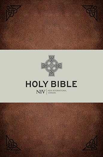 NIV Holy Bible - Brown