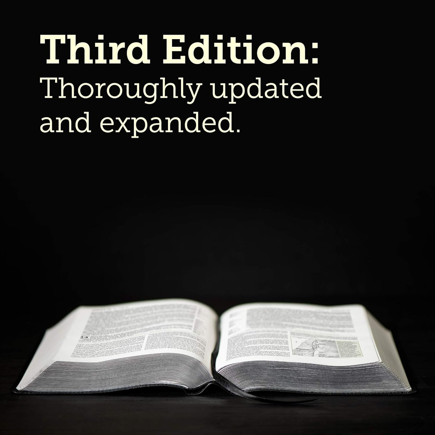 NLT Life Application Study Bible