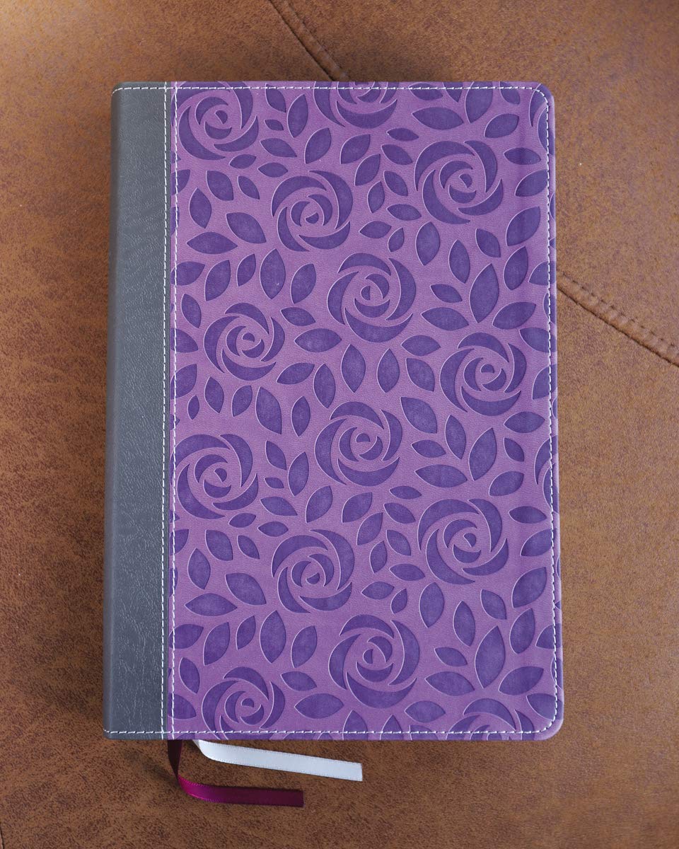 NIV Thinline Giant Print Bible