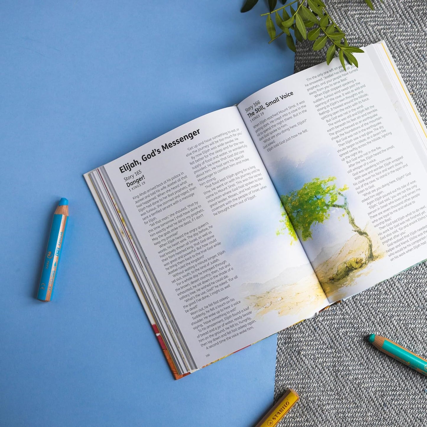 The Children’s Bible in 365 Stories