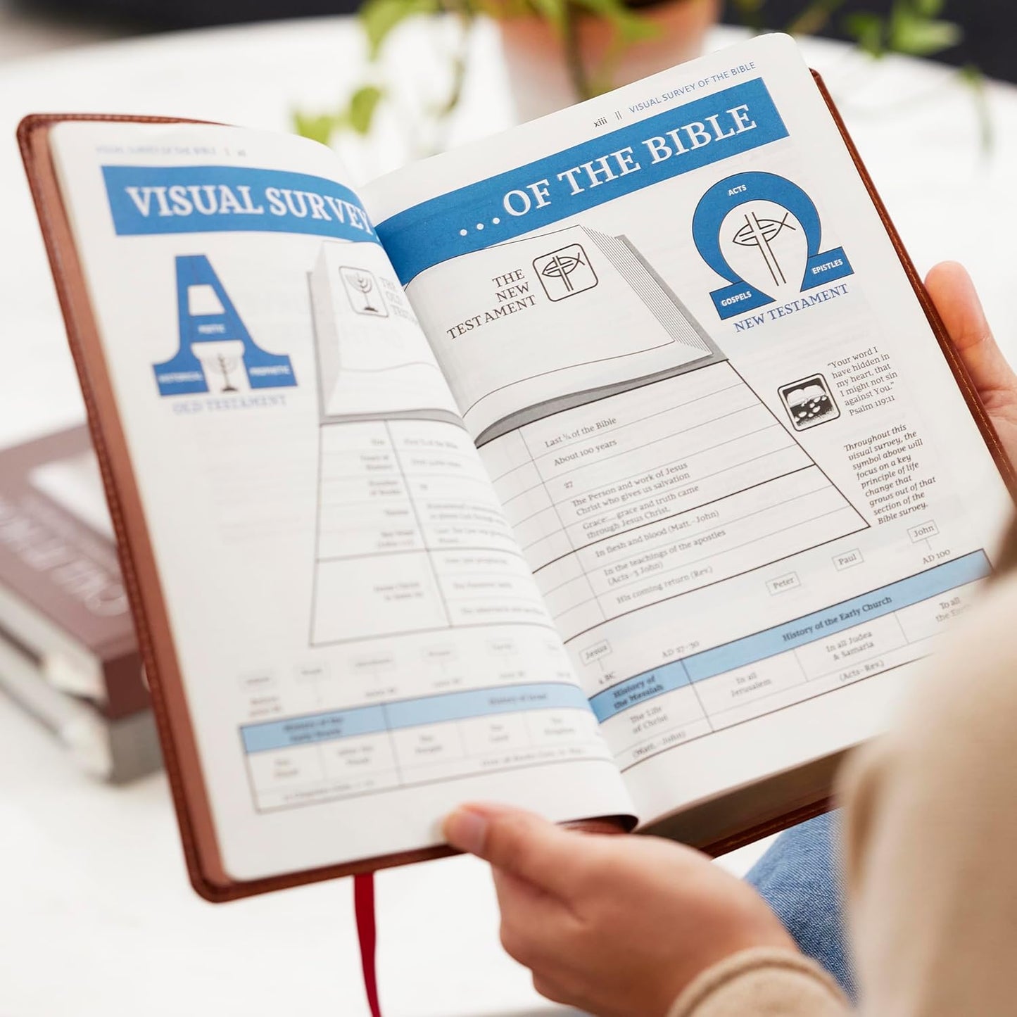NKJV The Open Bible