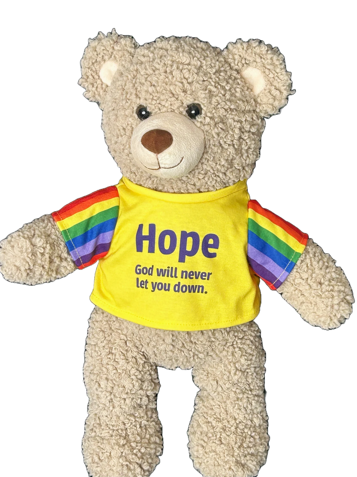 Promise Bear - Hope