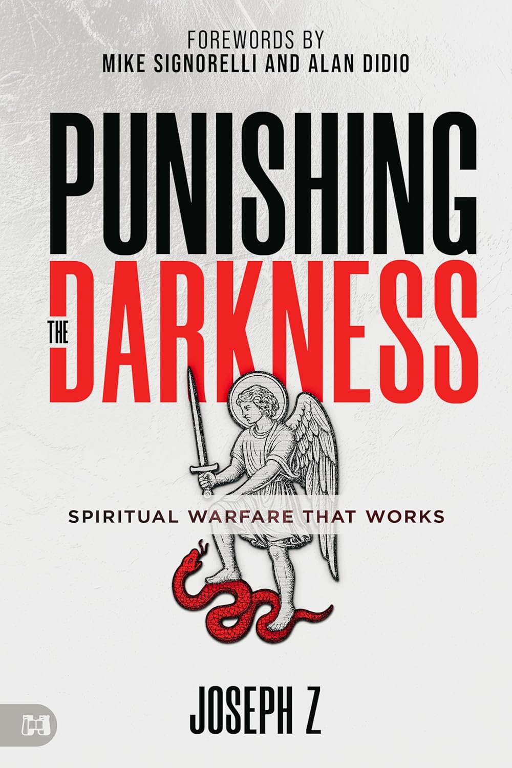 Punishing the Darkness by Joseph Z