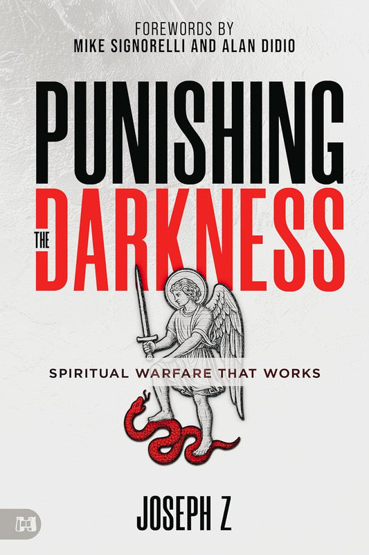 Punishing the Darkness by Joseph Z