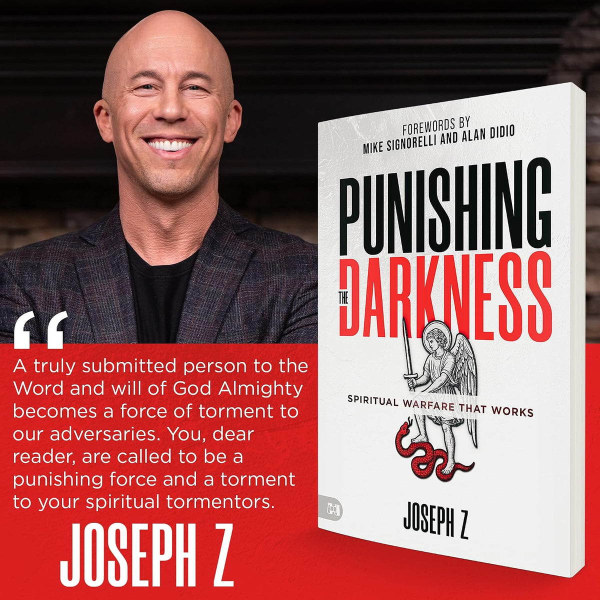 Punishing the Darkness by Joseph Z