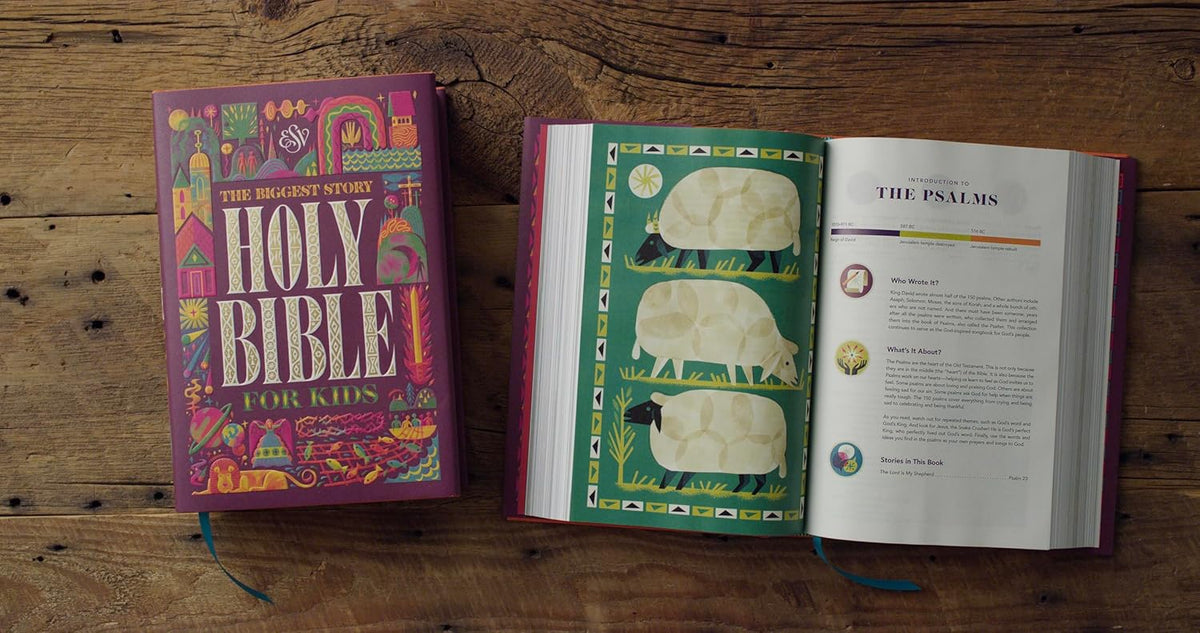 The Biggest Story Holy Bible for Kids