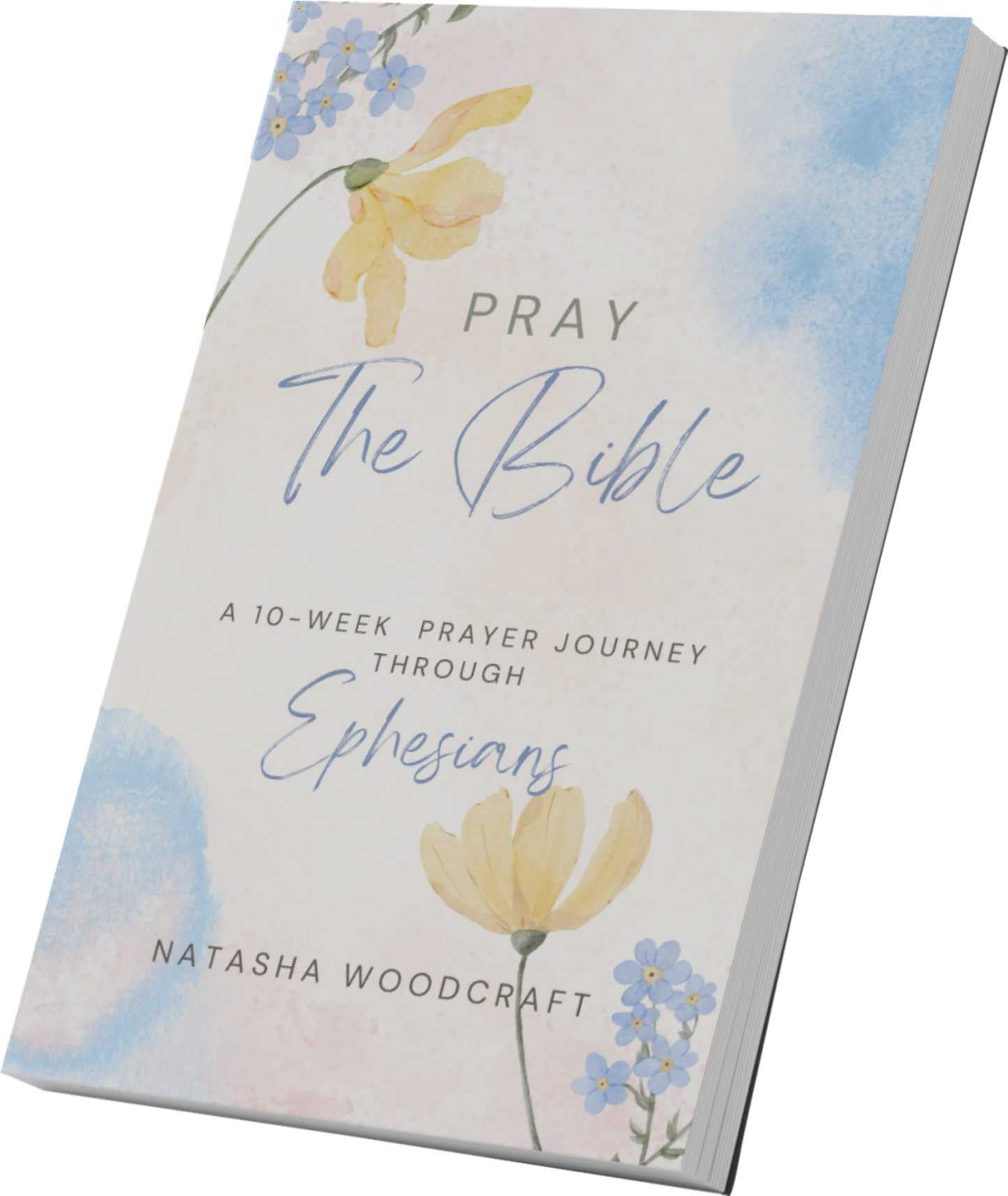 Pray The Bible - 10 week prayer Journey Through Ephesians