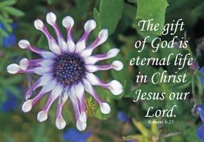 The Gift of God - Blank Card