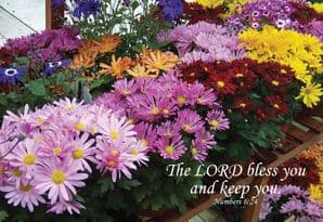 The Lord Bless You - Blank Card