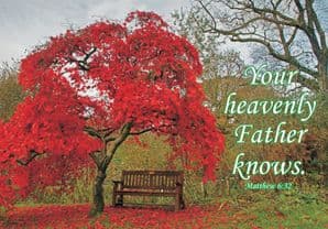 Your Heavenly Father Knows - Blank Card