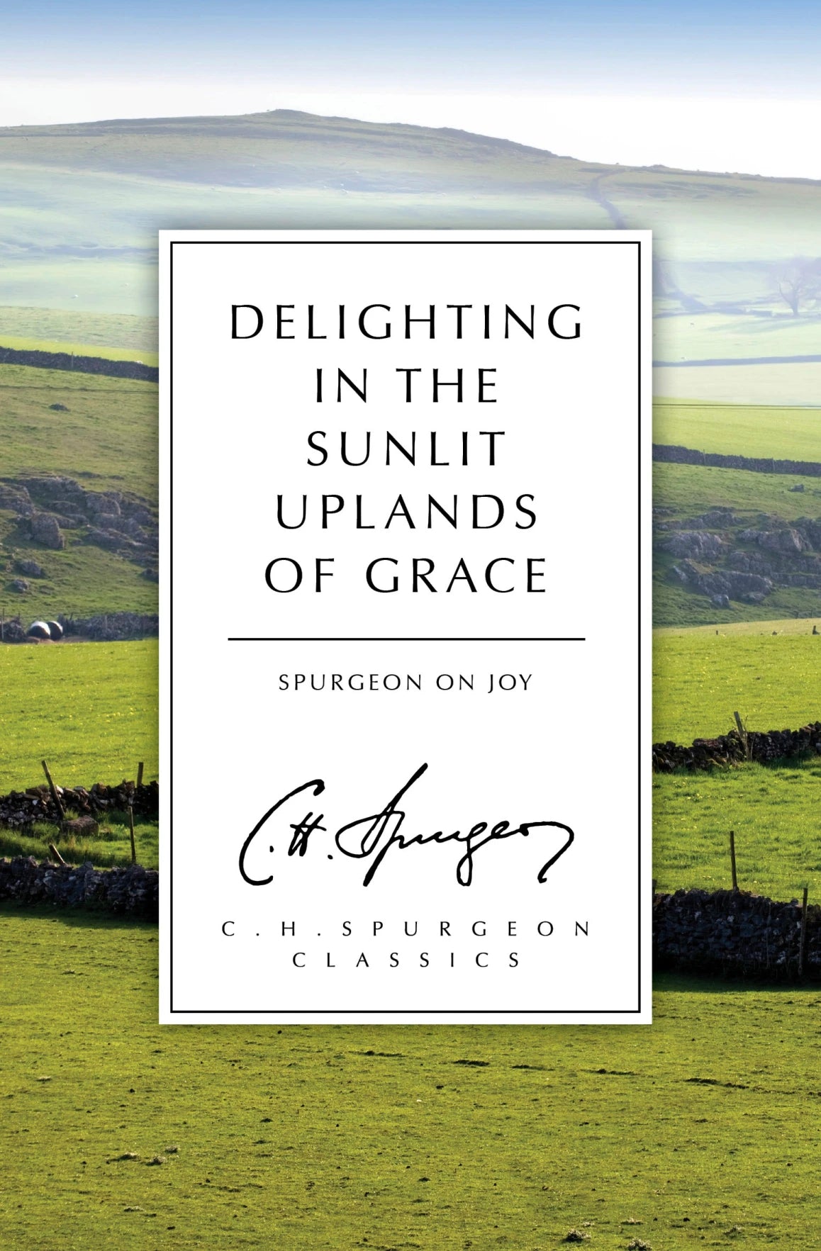 Delighting in the Sunlit Uplands of grace