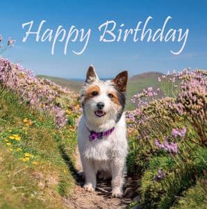Joy - Birthday Card