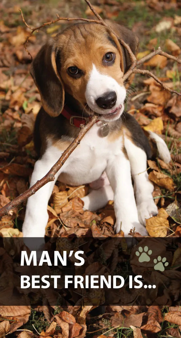 Man's best friend is ... Tract x 1