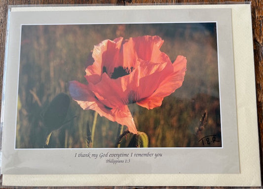 Blank Card - Poppy