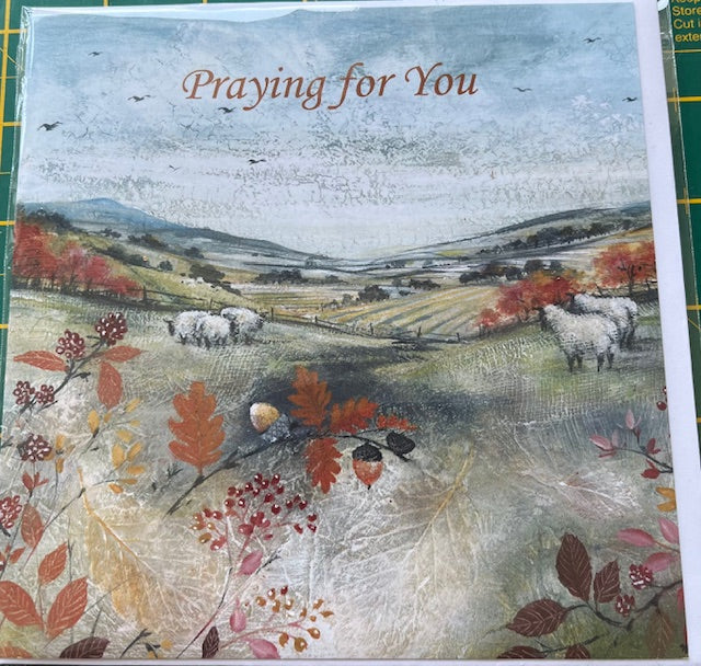 Greetings Card - Thinking/Praying for You - sheep