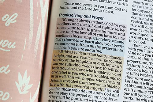 NIV Radiant Virtues Bible