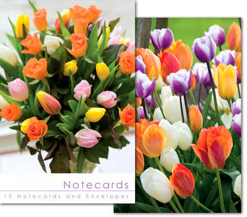 Leonard Smith Note Cards - Blank - Mixed Tulips