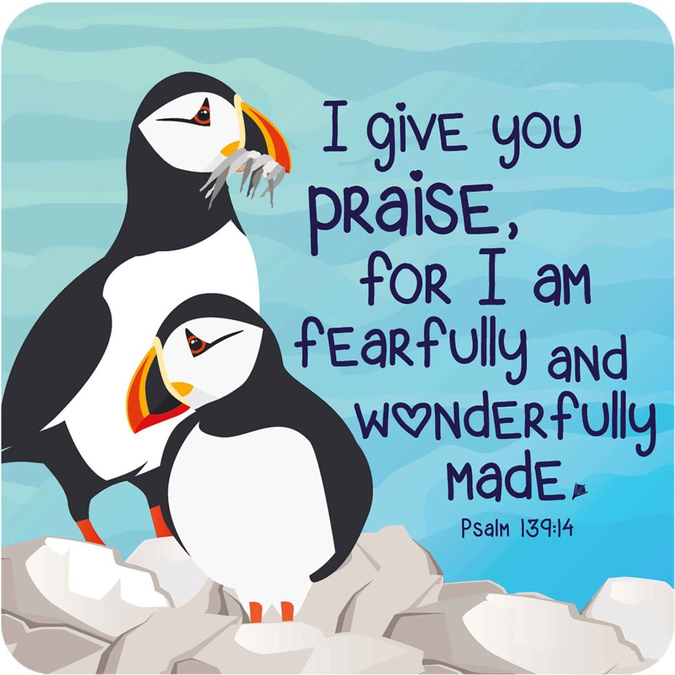 Fearfully and Wonderfully Made Caoster